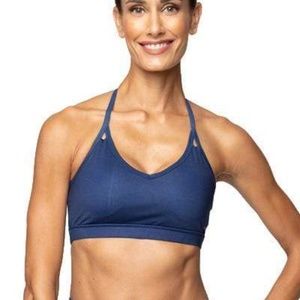AR-33 Navy Sports Bra